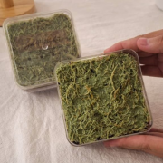 Pistachio Kunafa Brownie Pistachio Kunafa Brownie